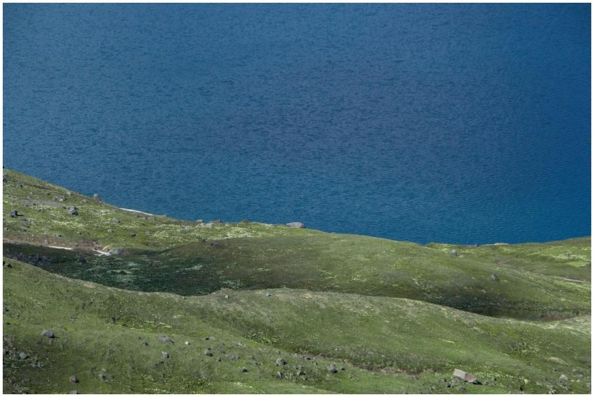 Scenic view of an azure alpine lake bordered by lu