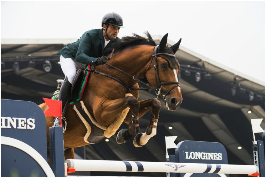 Equestrian Athlete Jumping Horse