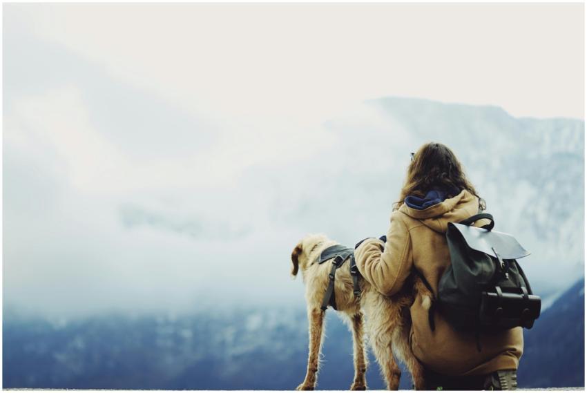 A woman and her dog enjoy a foggy mountain view, e
