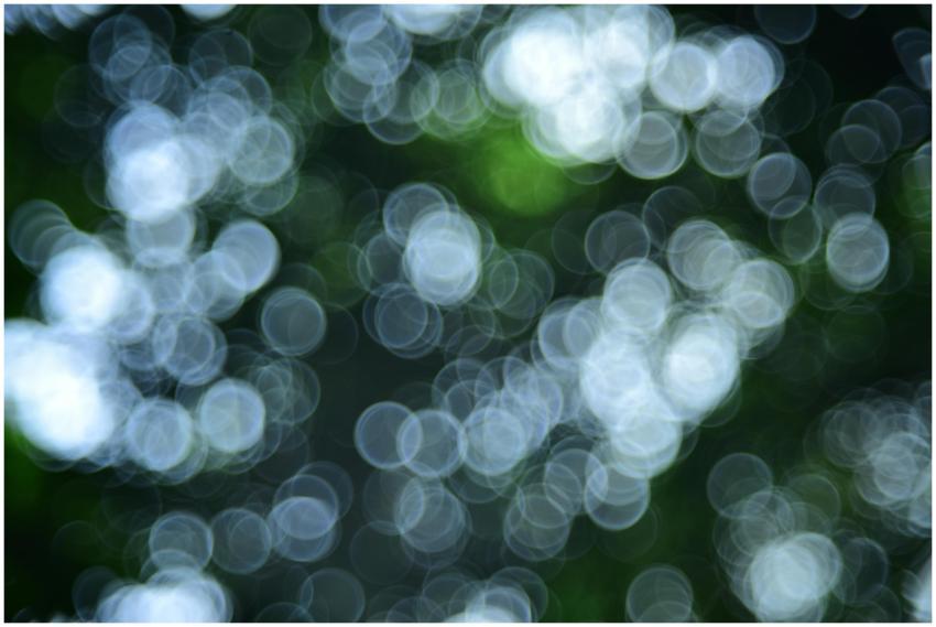 Beautiful abstract image showcasing the natural bo