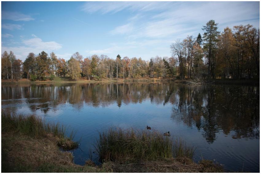 A serene lake with autumn trees reflecting on calm