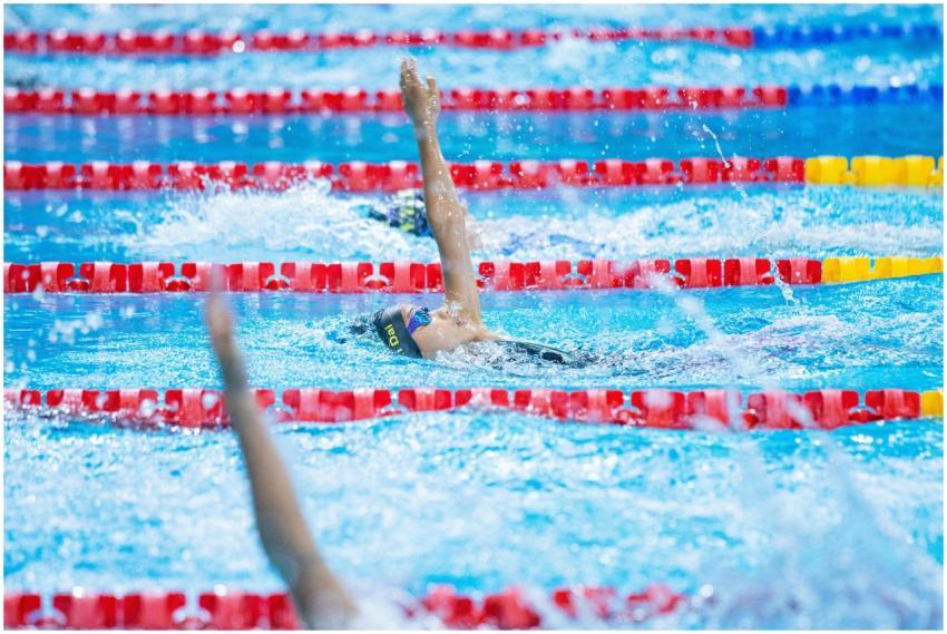 Free stock photo of competitive swimming
