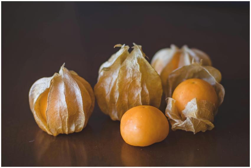 Close-up of fresh goldenberries with husks on a da
