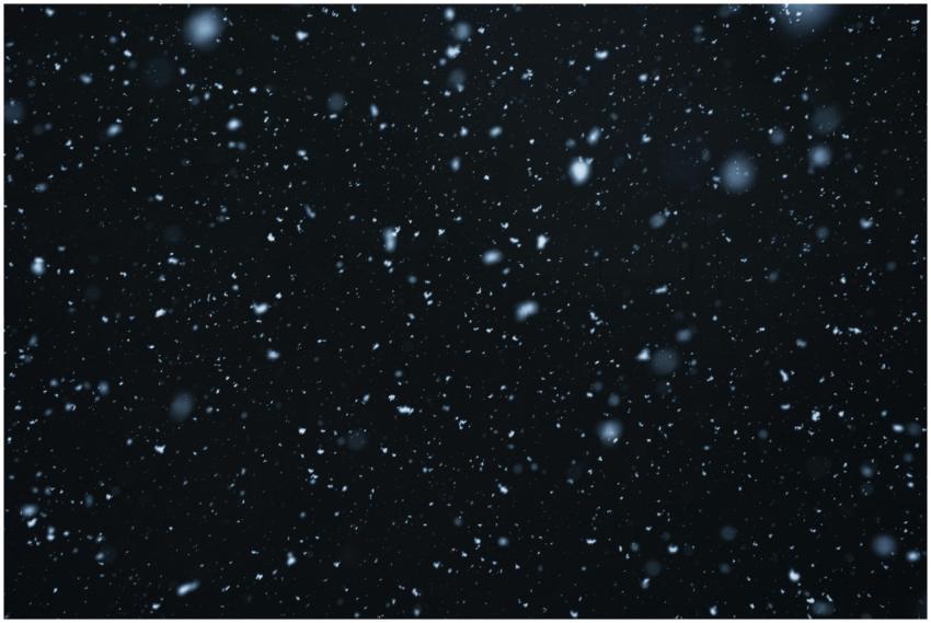 A mesmerizing view of snowflakes falling against a