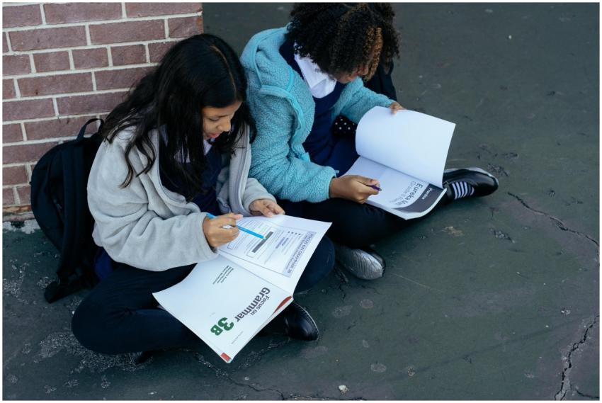 From above of adorable diligent pupils learning an