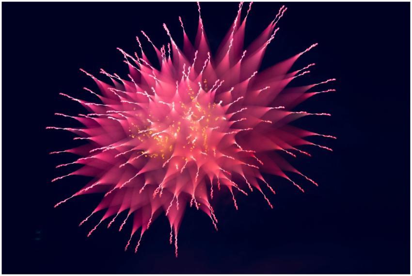 A stunning pink firework explodes vividly against