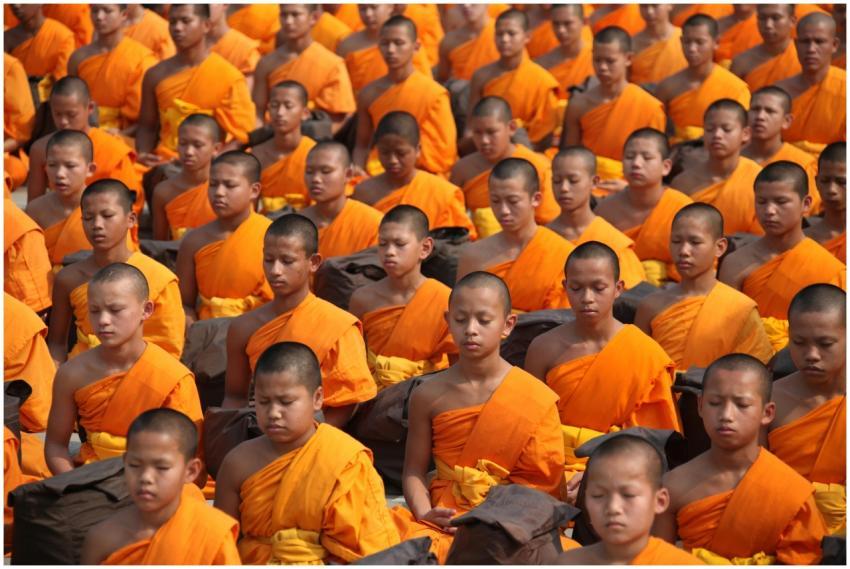 A large gathering of young monks in orange robes m