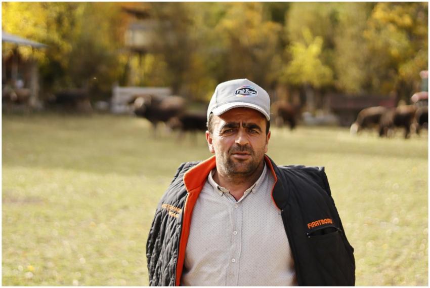 A rural farmer in a field, surrounded by cattle on