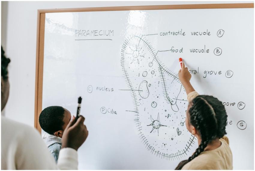 Two students engaged in a biology lesson focusing
