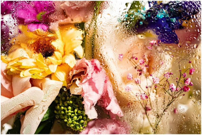 Colorful floral bouquet viewed through raindrop-co