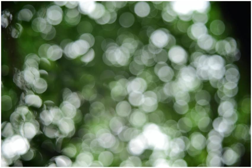 Abstract green nature background with bokeh, creat
