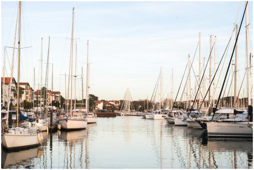 Tranquil marina view with numerous sailboats docke