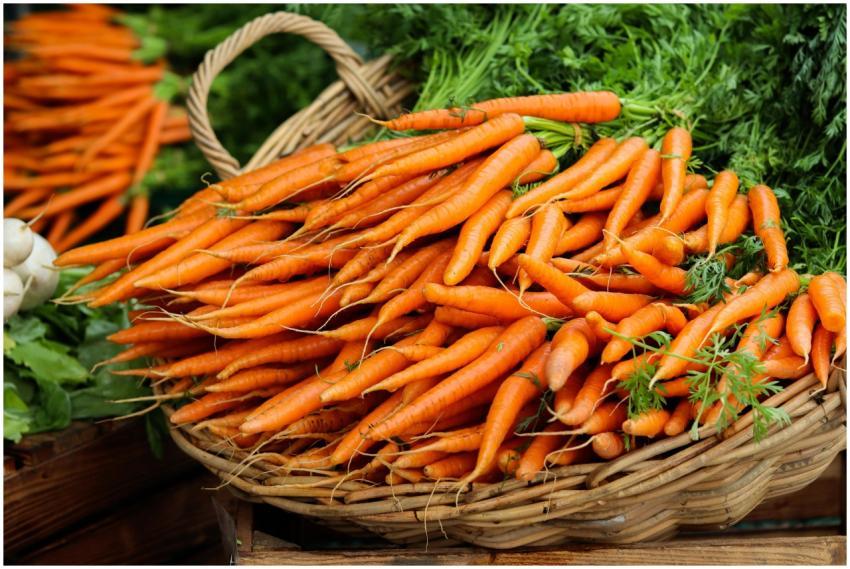 Vibrant orange organic carrots displayed in a wick