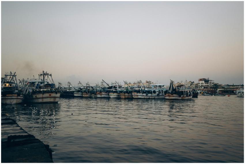 View of fishing boats docked at Ras El-Bar harbor