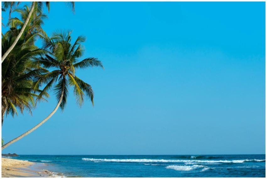 A peaceful tropical beach with palm trees and a cl