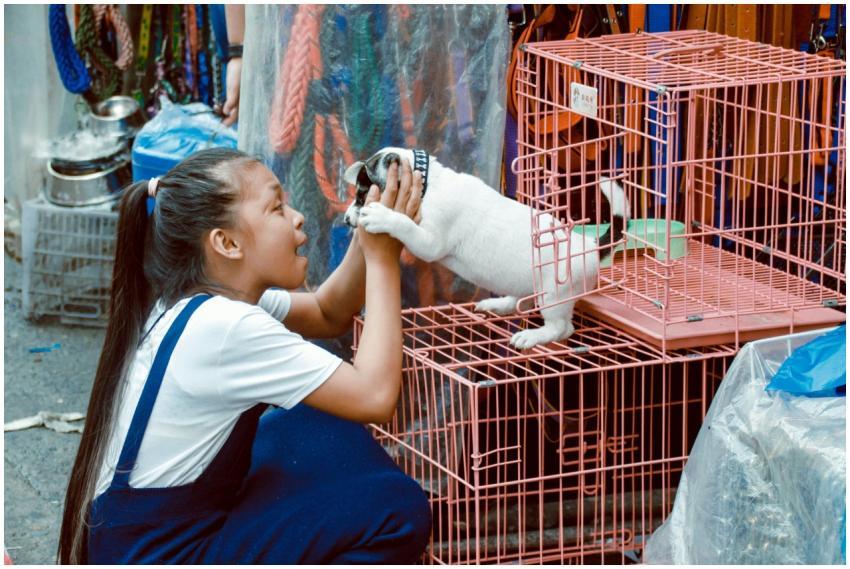 A young girl interacts with a playful puppy in a b