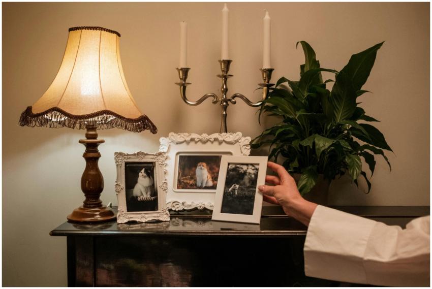 A cozy room featuring a lamp, candlestick, housepl