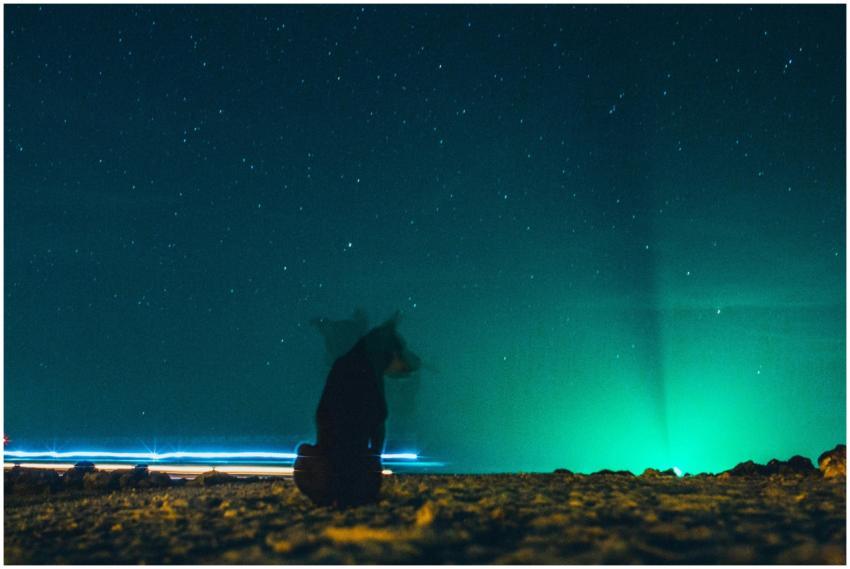 Gorgeous starry night sky with glowing reflections