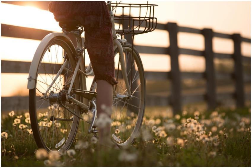 A person cycling past a scenic fence and flowers d
