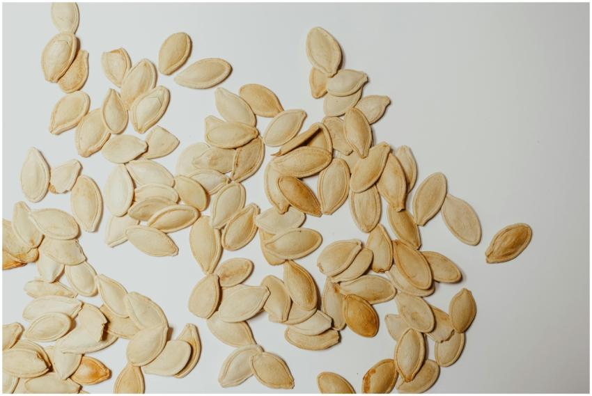 A collection of raw pumpkin seeds scattered on a w