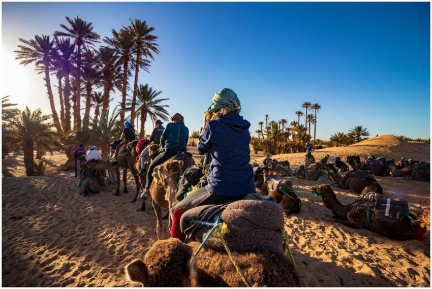 Group of people riding camels through a desert oas