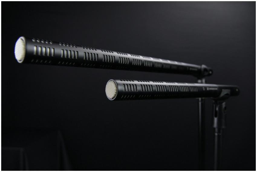 Close-up view of two professional shotgun micropho