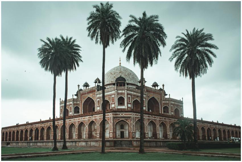 Low angle of beautiful well maintained garden with