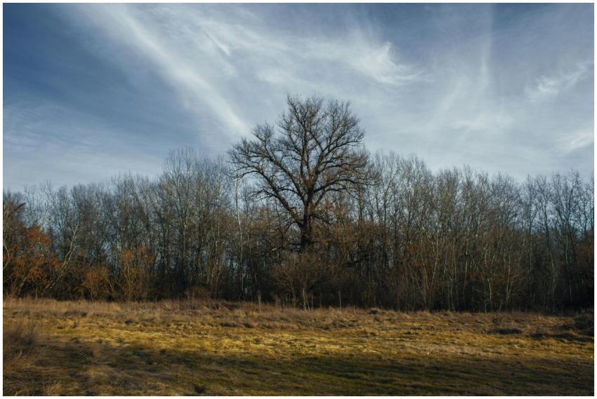 Free stock photo of adventure trip, autumn, dark