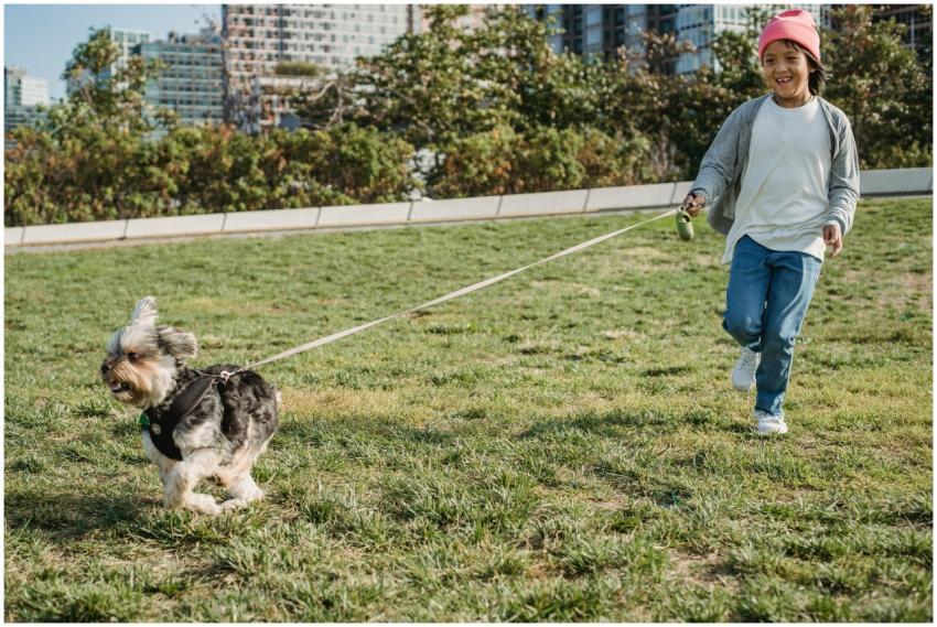Smiling ethnic child walking Yorkshire Terrier on