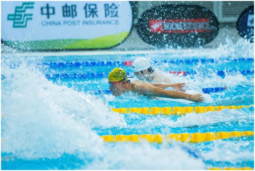 Free stock photo of competitive swimming