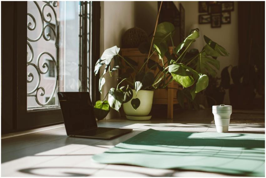 Inviting yoga setup with mat, laptop, and plants n