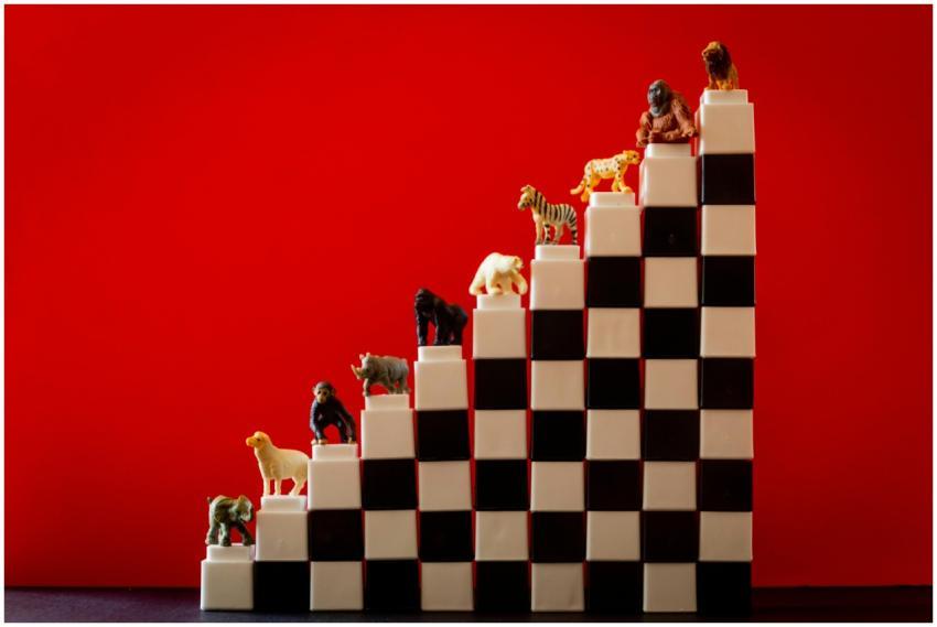 Colorful animal figurines arranged on checkered bl