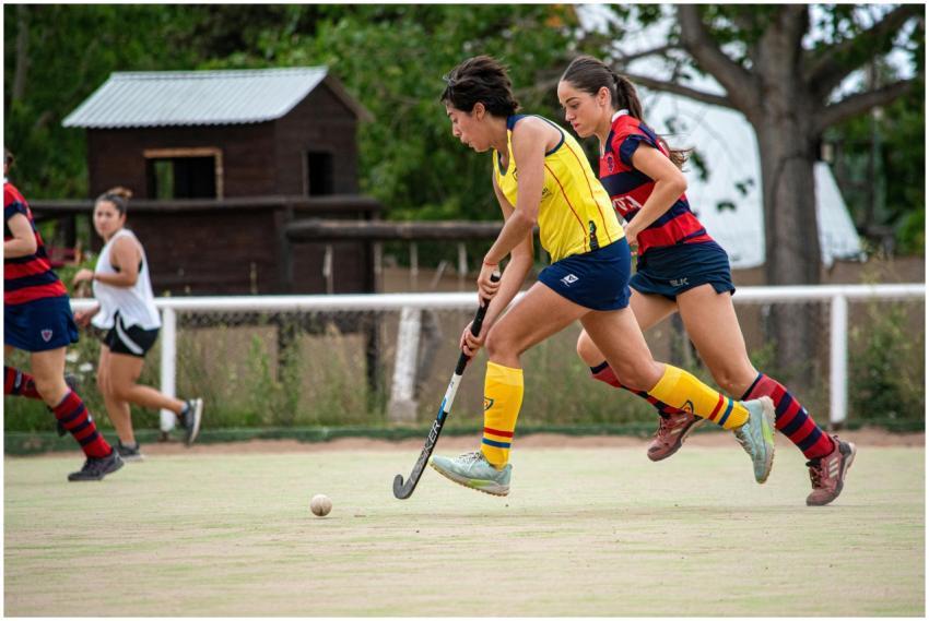 Competitive women's field hockey match outdoors wi