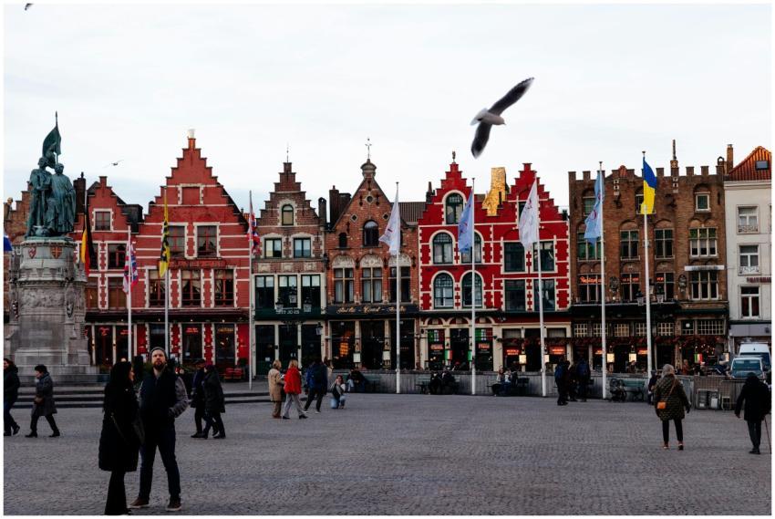 Vibrant historic buildings with a seagull flying i