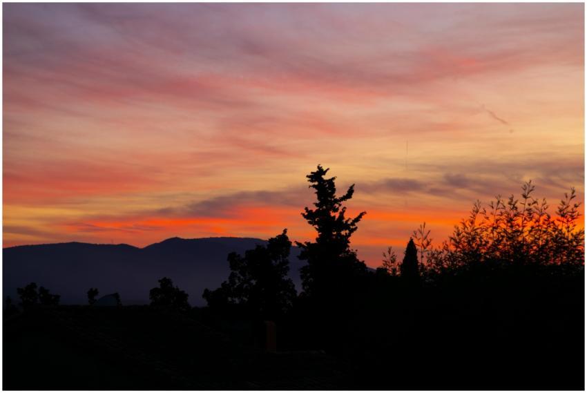 Scenic Sunset Silhouetted Trees
