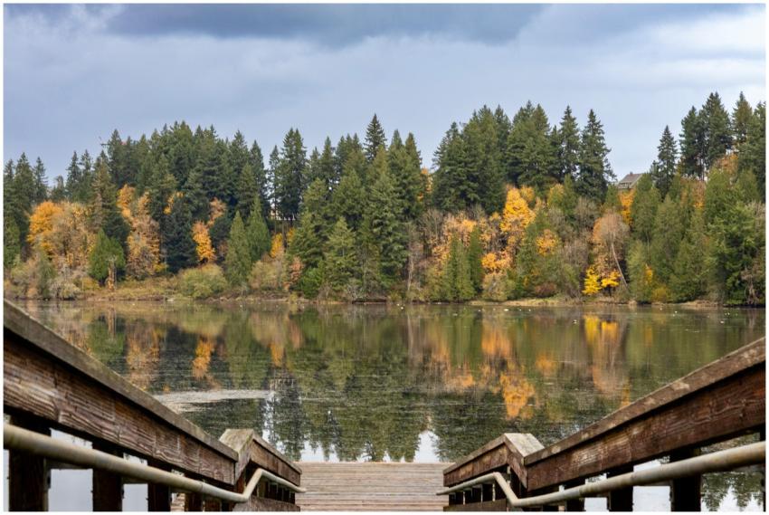 Scenic Autumn Lake Forest