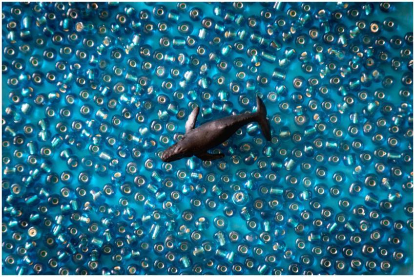 A miniature whale toy floats on a sea of blue bead