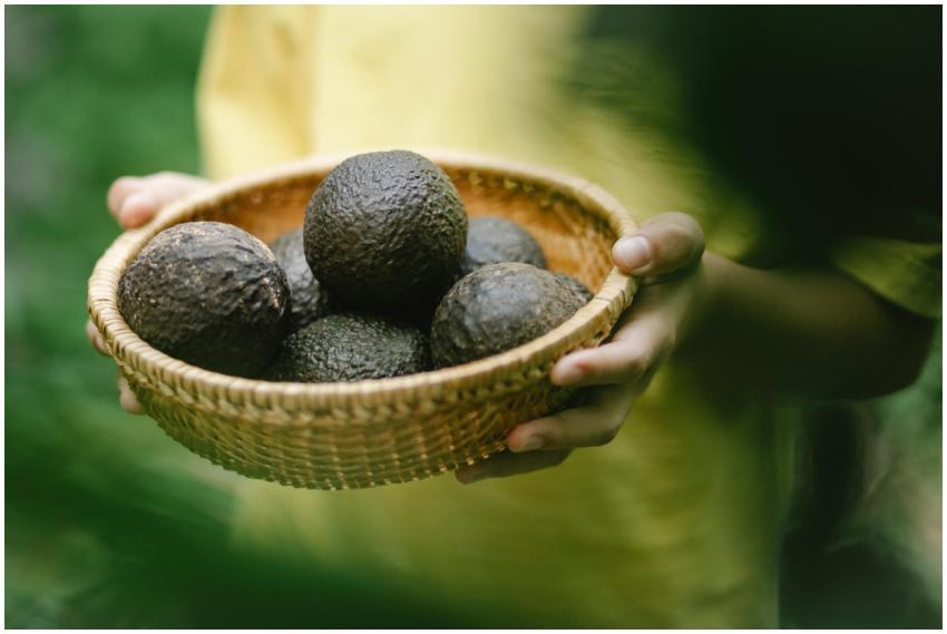 Crop faceless female holding wicker bowl full of a