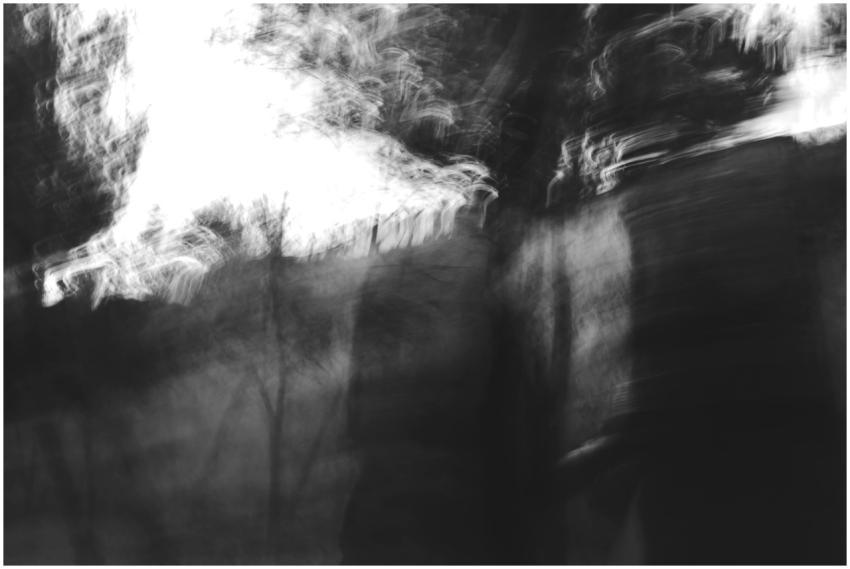 Dreamy black and white abstract photo with blurred