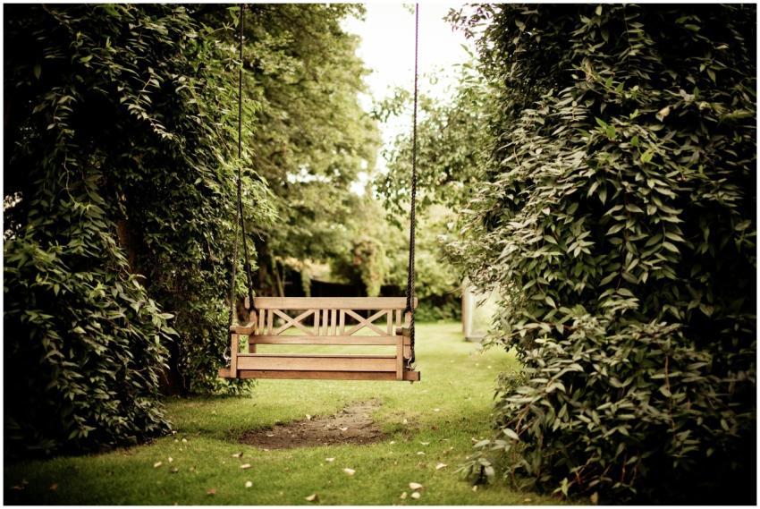 A tranquil wooden swing hanging in a verdant garde