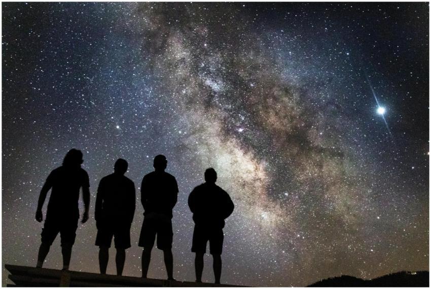 Silhouettes of people stargazing under the clear M