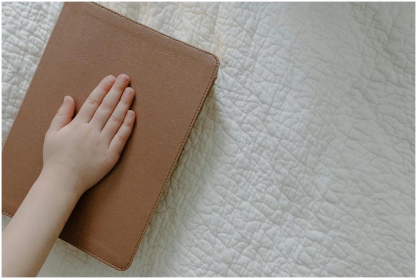A child's hand rests gently on a brown leather-bou