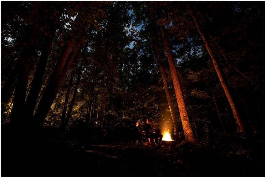Serene night camping by a crackling fire amid the