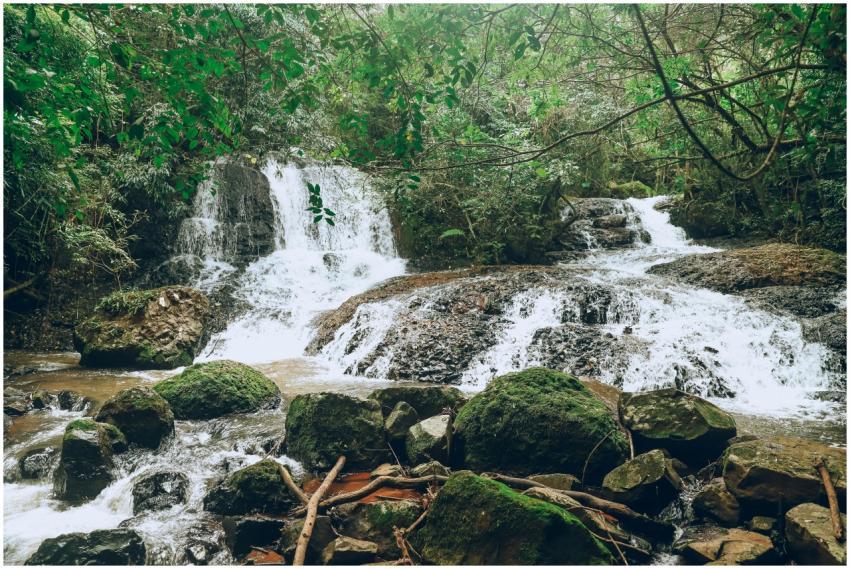 Beautiful waterfall surrounded by lush greenery in