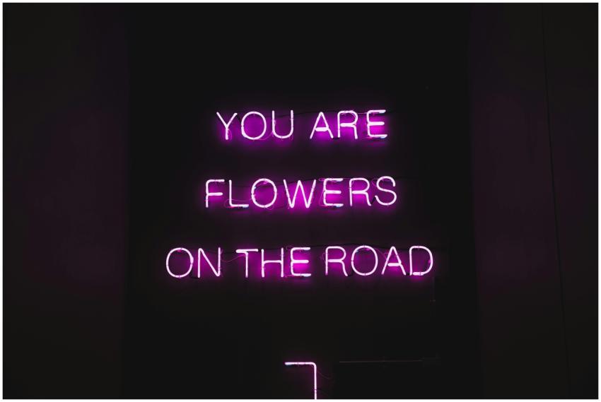 Pink color neon luminous text with inspiring phras