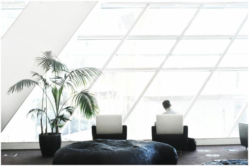 Spacious modern lounge with minimalist decor, feat