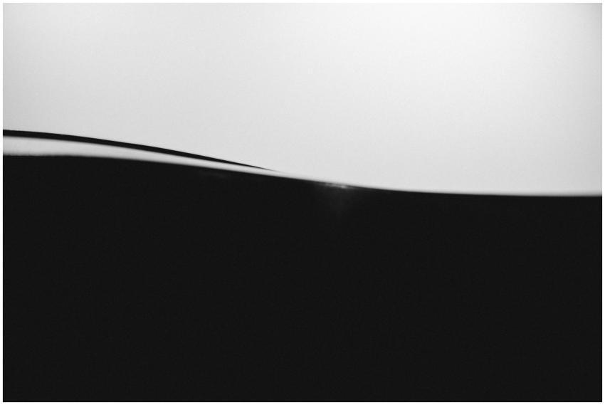 Minimalist abstract black and white image showcasi