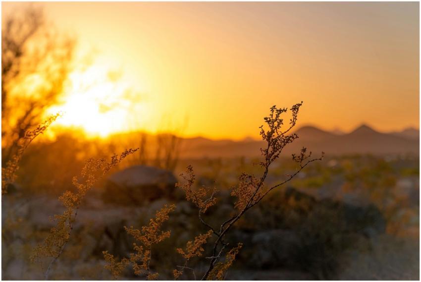 Serene sunset over the Arizona desert, capturing d