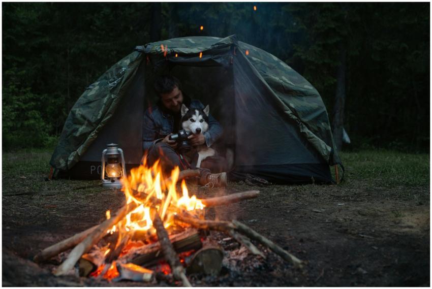 Cozy camping scene with a man and his dog by a cam