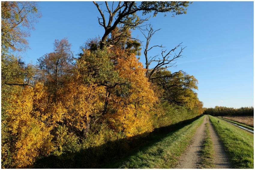 Picturesque autumn landscape with vibrant trees al